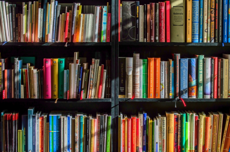 ecommerce-TENDE-min_books_bookstore_book_reading_shop_writer_sale_books_read-822866